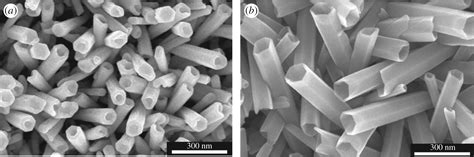  Zinc Oxide Nanorods – Upeat Ominaisuudet ja Kuuma Kuljetusteknologia!